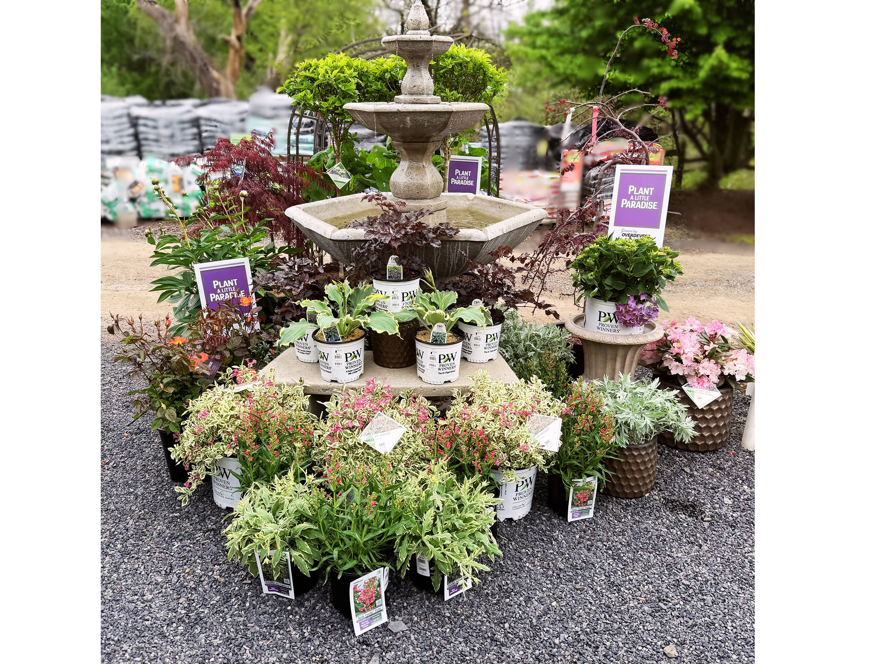 Home | Achin' Back Garden Center Online Store